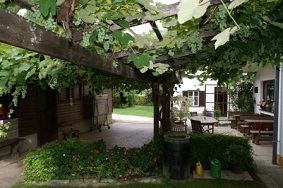 KONICA MINOLTA DIGITAL CAMERA